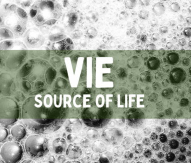 vie source of life 1000x600