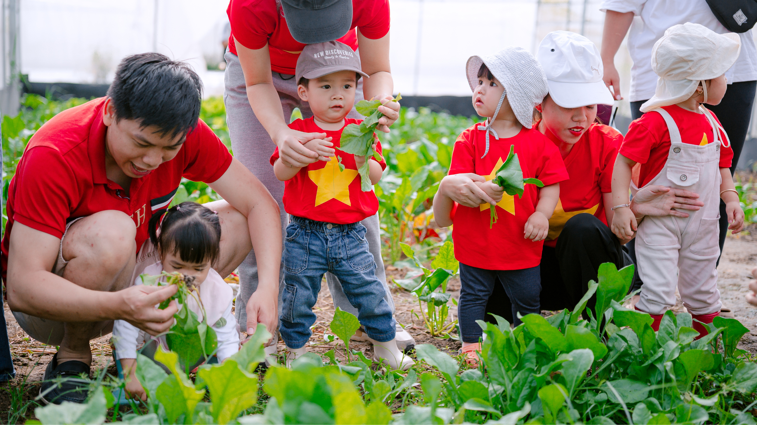 Thiết kế chưa có tên (1)