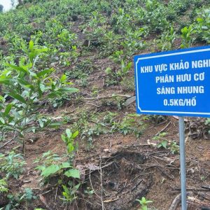 Từ chất thải chăn nuôi đến phân bón hữu cơ – Giải pháp xanh của Sáng Nhung